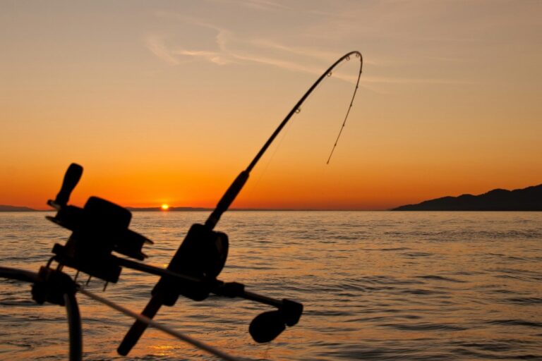 sognare-canna-da-pesca