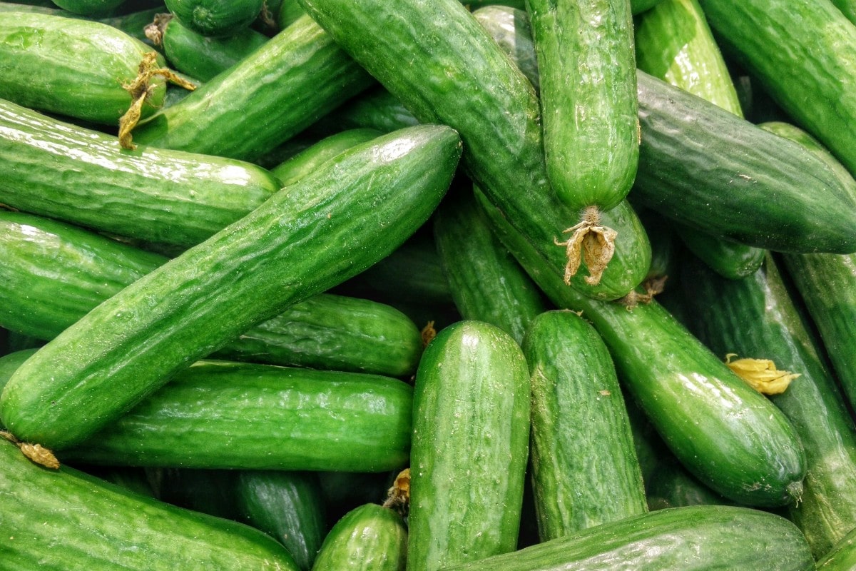 sognare-cetrioli