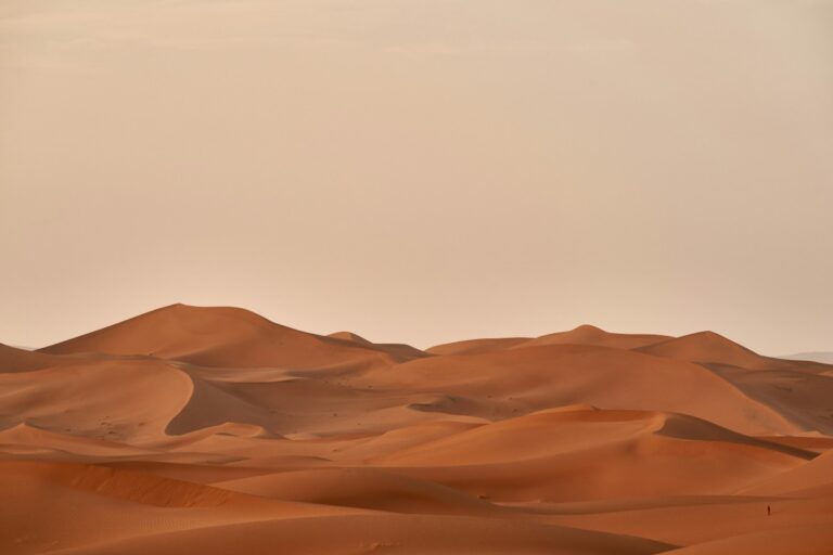 sognare-il-deserto