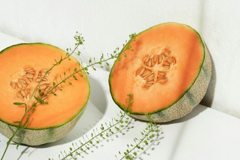 sognare-melone