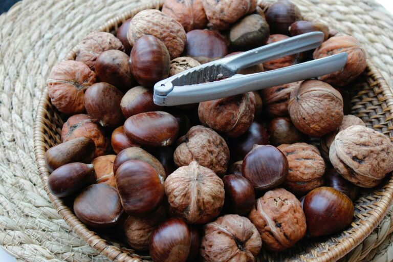 sognare le castagne