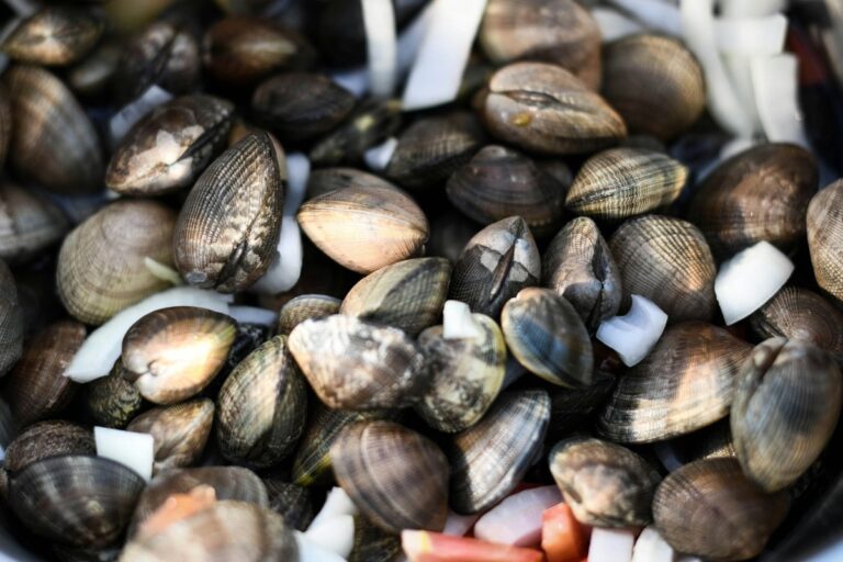 sognare-vongole