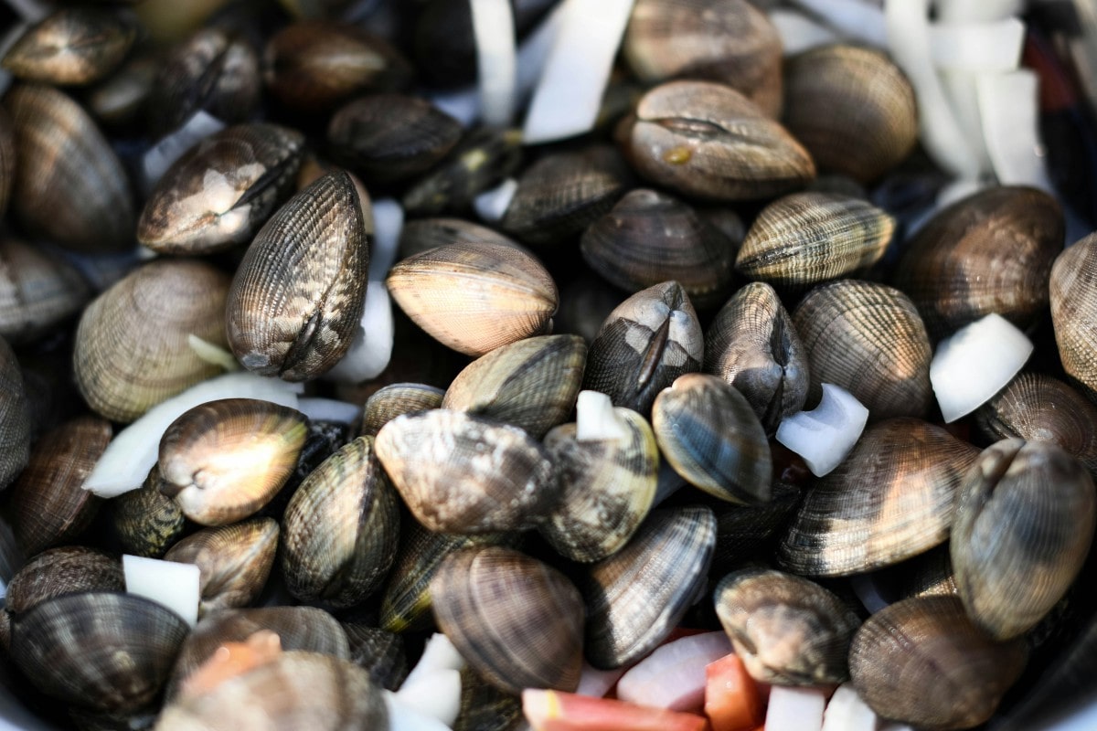 sognare-vongole
