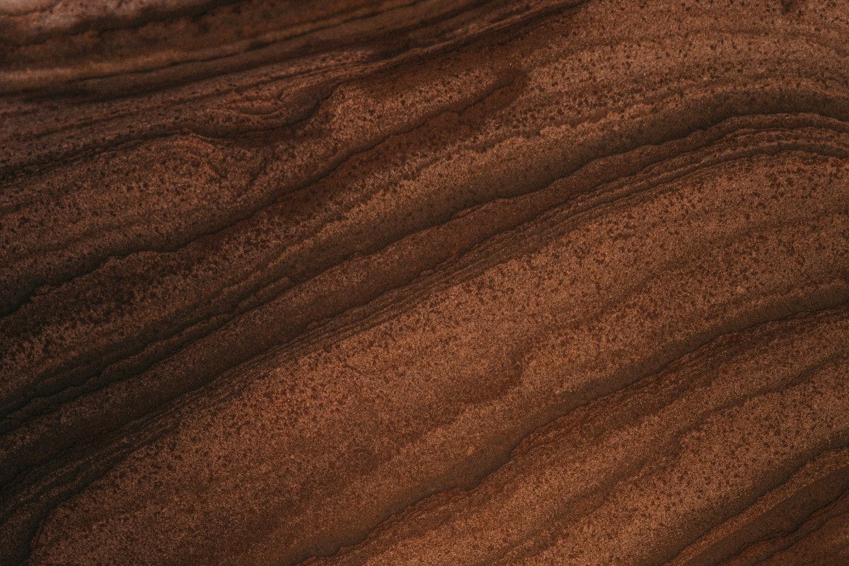 sognare-colore-marrone