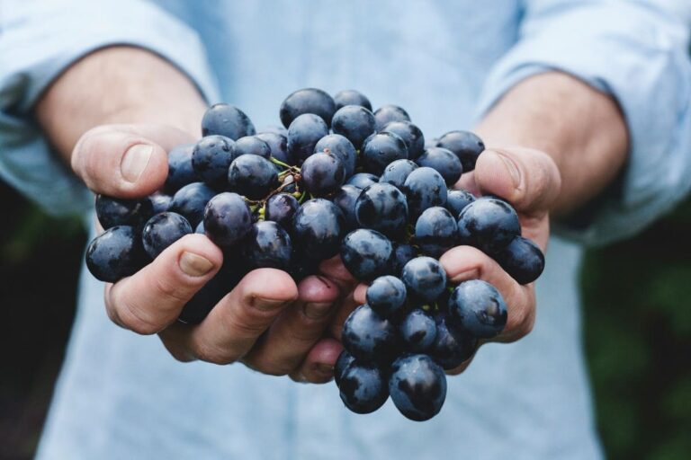 sognare-uva-fragola